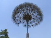 Albums/20060800-China Aug 2006/20060804-Shenyang University/81